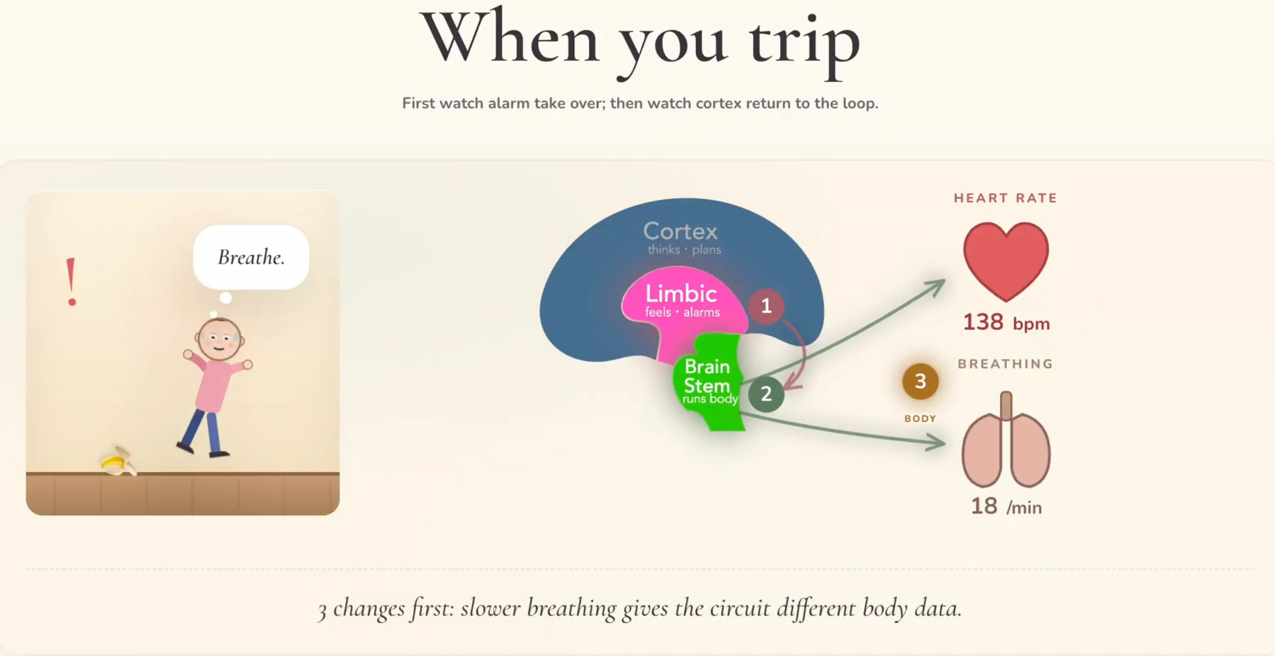 The Circuit in Your Head